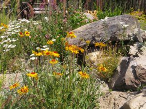 4 rock garden (After the Solstice)