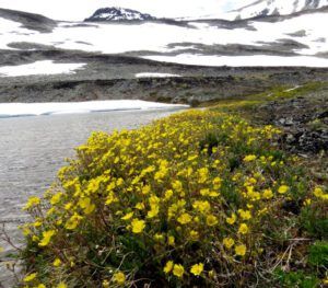 47 pot on pond edge (Perkins Peak Part Two)