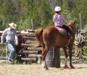 5 horse stopped dead (Tatla Lake Gymkhana)