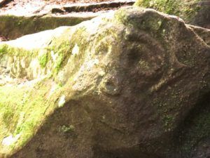 6 herald (Bella Coola Petroglyphs Again.)