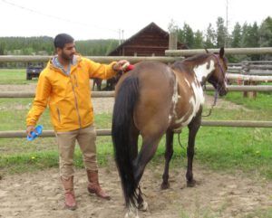 7 grooming (Sanjey’s Ride)