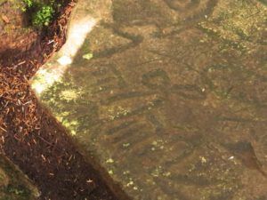 7 raven (Bella Coola Petroglyphs Again.)
