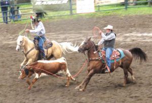 8 team roping (79th Stampede, Anahim Lake)