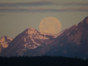z setting best (Solstice Moon)