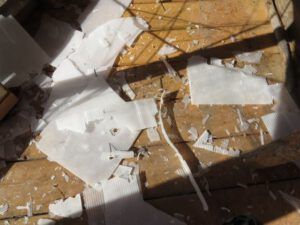 1-greenhouse-roof-1 (Greenhouse Roof)