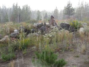 12-pounding-rain (August at Ginty Creek)