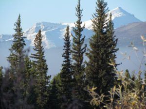 20-new-snow-pp (Fall Equinox)