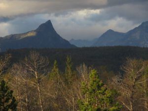 1-bare-trees-best (October at Ginty Creek)