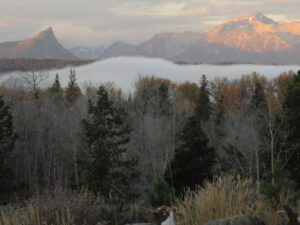 1-frost (A Taste of Winter)