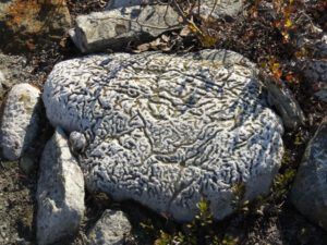 11-alkali-deposit (October at Ginty Creek)