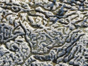 12-alkali-deposit-2 (October at Ginty Creek)