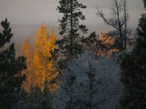 18b-frosty-morning-2 (A Taste of Winter)