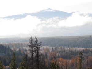 18j1-more-fog (A Taste of Winter)