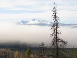 18l-fog-pp (A Taste of Winter)