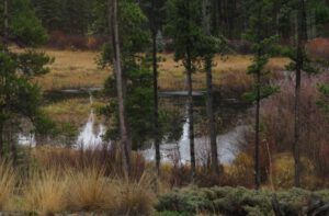 18l-thaw (A Taste of Winter)