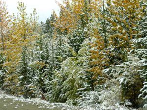 23-colours (Thanksgiving at the Precipice.)