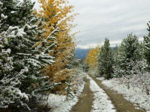 23a-tote-road (Thanksgiving at the Precipice.)