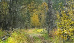 26-bottom (Thanksgiving at the Precipice.)