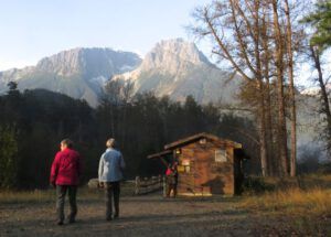 3a-bear-view-w-r-and-v (Bella Coola in October)