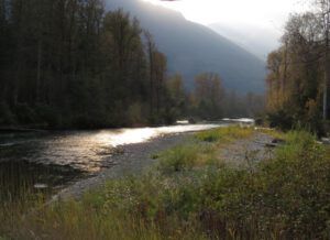 4-bear-view-1 (Bella Coola in October)