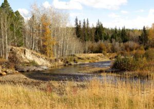 4-tawny-river (A Taste of Winter)