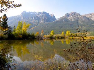 5b-niuts (October at Ginty Creek)