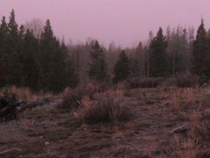 10-pink-fog (Once Upon November Dreary)
