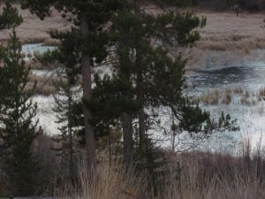 11-pond-ice (Once Upon November Dreary)