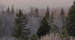 2-pinkish-fog (It Is A Snu Day)