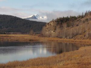 fp-1-kk (It Is A Snu Day)