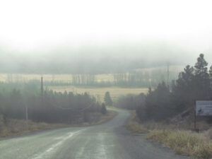 fog-kk (It Is A Snu Day)