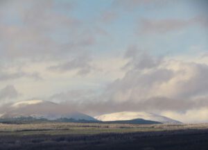 kappan (It Is A Snu Day)