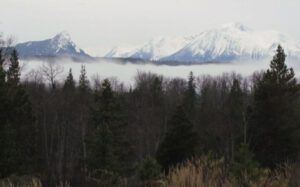 mt-glimpse (Once Upon November Dreary)