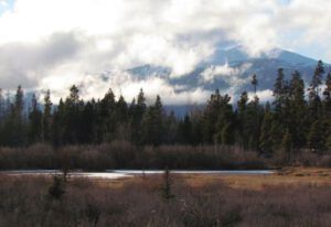 pond-gleam (It Is A Snu Day)