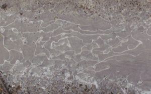 puddle-ice (Beauty in Gloom)