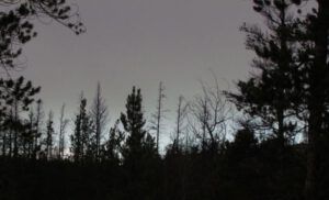 rained-all-day (Beauty in Gloom)