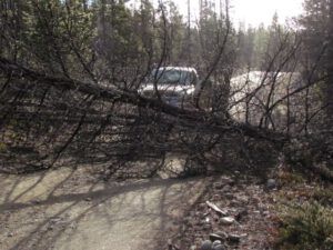 road-clearing (Beauty in Gloom)