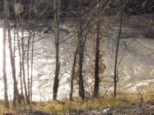 sun-on-river (It Is A Snu Day)