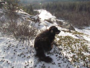 z-badger-and-river-2 (It Is A Snu Day)