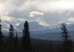 z-blowing-snow (It Is A Snu Day)