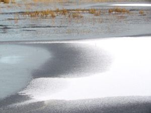 z-ce-abstract (It Is A Snu Day)