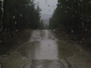 z-my-road-in-rain-storm (Beauty in Gloom)