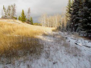 z-sun-and-snow (It Is A Snu Day)