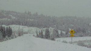 11-snowing-to-tatla-fair (Snow at Ginty Creek.)