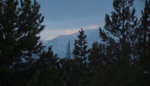 12-hint-of-pink (SUN, SUN, SUN (But it’s Minus Thirty-One.))