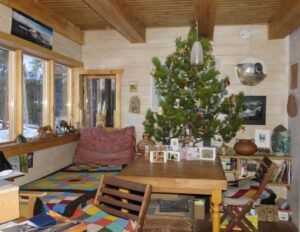13-cabin-2 (Boxing Day 2016)