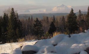 13-fog-clearing (SUN, SUN, SUN (But it’s Minus Thirty-One.))