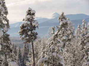 19-perkins-peak (Snow at Ginty Creek.)