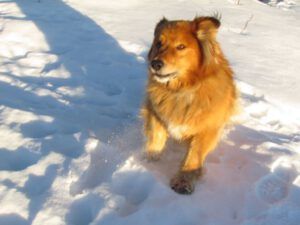 20-harry (SUN, SUN, SUN (But it’s Minus Thirty-One.))