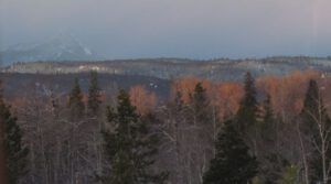 6-mts-gone (Boxing Day 2016)